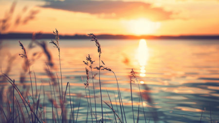 A sunset over a body of water with some grass, AIの素材