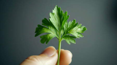 A hand holding a small green plant in its palm, AIの素材