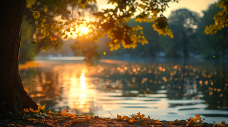 A tree sitting next to a body of water with leaves on the groundの写真素材