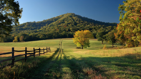 A field with a fence and trees in the background, AIの素材