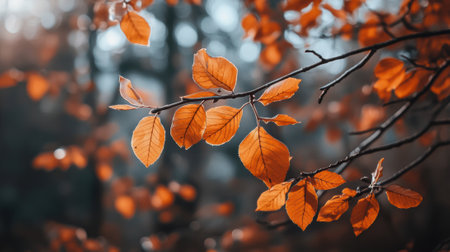 A close up of a tree branch with orange leaves, AIの素材