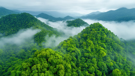 A view of a mountain range with trees and fog in the background, AIの素材