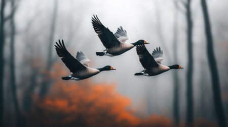 Three geese soar gracefully through a misty forest, their wings outstretched in unison, AIの素材