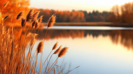 Golden reeds sway gently by a serene lake, reflecting the warm hues of autumn foliage, AIの素材