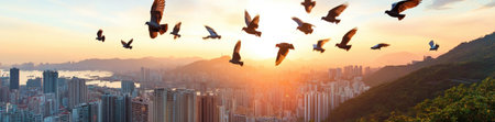 Flock of birds soaring over a vibrant cityscape at sunrise, AIの素材