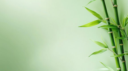 Lush green bamboo stalks against a soft, blurred background, AIの素材