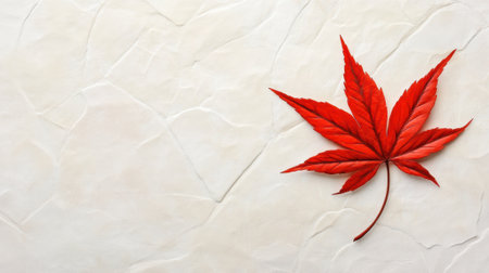 Red maple leaf on textured white background, symbolizing autumns arrival, AIの素材