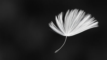 Delicate dandelion seed floating against a dark background, AIの素材