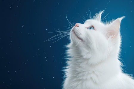 White cat gazes at starry night sky, its fur glowing softly under the celestial light, AIの素材