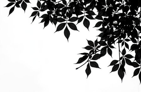 A black and white silhouette of leafy branches and foliage arranged in a natural pattern with clear contrast and minimalistic styleの素材