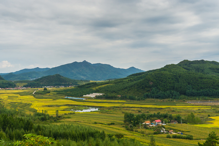 Country fields under dark cloudsの写真素材