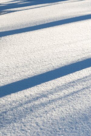 Snow background with blue shadows in sunset lightの写真素材