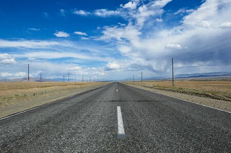 Hot day in Altai steppe in summer