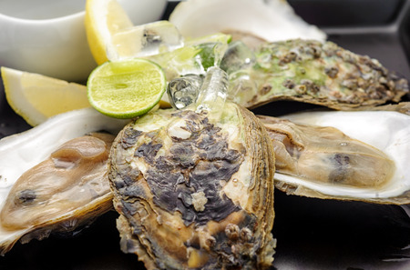 Oysters on ice with lime isolated on white