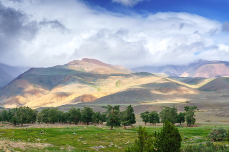 Sunset light pattern on hill top and slopes with cloudy sky in Altaiの写真素材