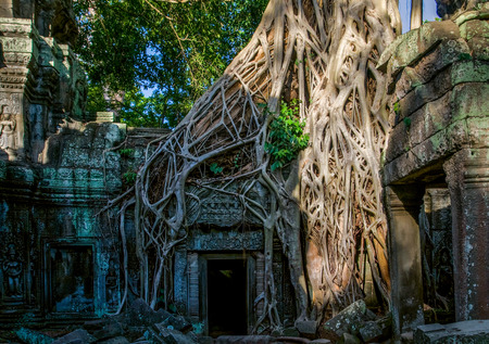 Details of decoration in ancient temple of Angkor Wat in Cambodiaの写真素材