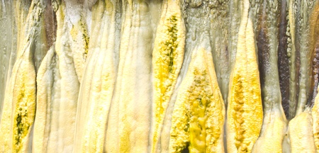 Texture of limestone, rock formation around hot springの写真素材