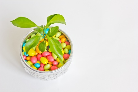 Silver bowl filled with candy and young plant growth