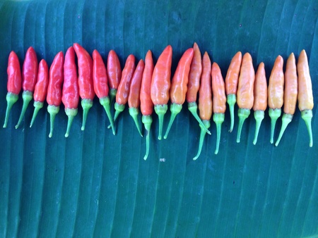 Row of chillies on banana leaf