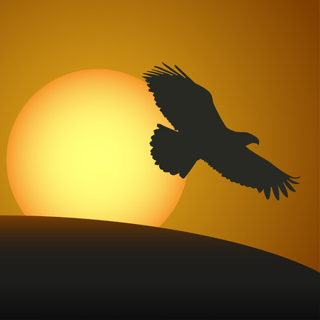Sunset  with a silhouette of an eagle. Vector illustrationのイラスト素材