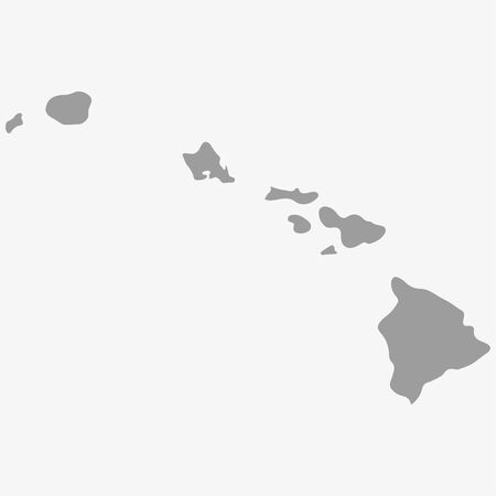 Map  the State of Hawaii in gray on a white backgroundのイラスト素材