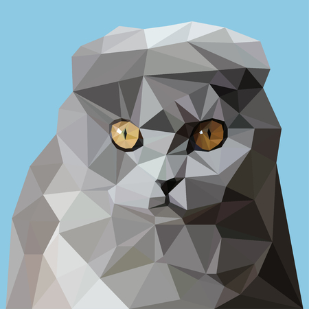 Cat  Scottish Fold in the style of triangulation on the sky backgroundのイラスト素材