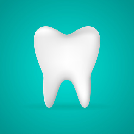 Photo-realistic  vector illustration of a white tooth - isolated iconのイラスト素材