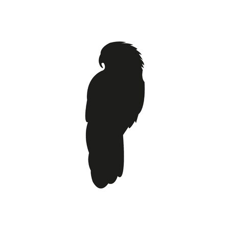 Black silhouette of parrot on a white backgroundのイラスト素材