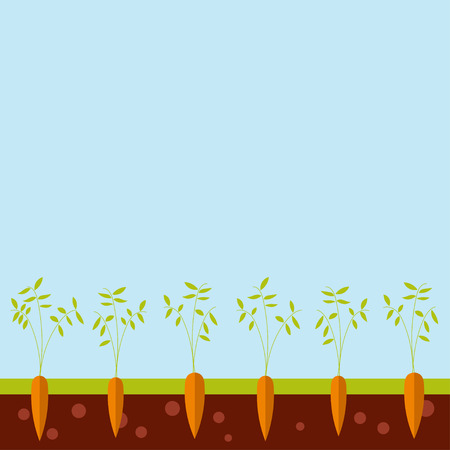 Cartoon garden bed with carrots, vector illustrationのイラスト素材