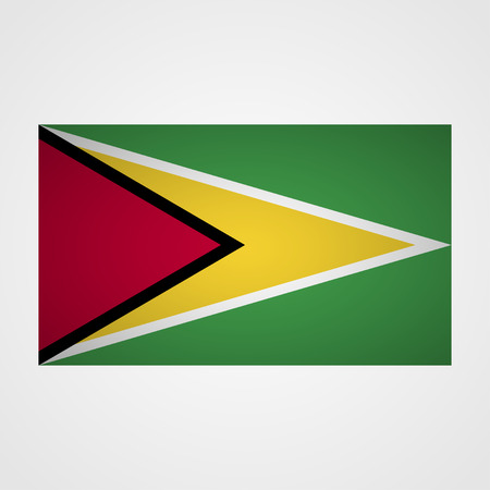 Guyana flag on a gray background. Vector illustrationのイラスト素材