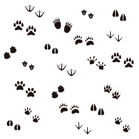 Biggest Set of Animal and Bird Trails Silhouettes. Vector illustrationのイラスト素材