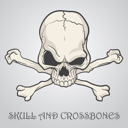 Skull and crossbones on a gray background. Vector illustrationのイラスト素材