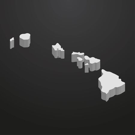 Hawaii State map in gray on a black background 3dのイラスト素材