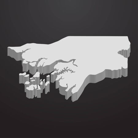Guinea Bissau map in gray on a black background 3dのイラスト素材