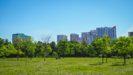 City park under blue sky with downtown skyline in the background.の写真素材