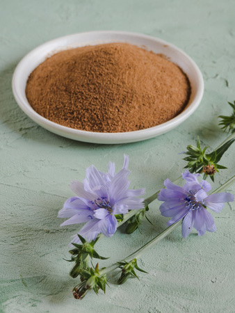 Diabetic coffee with chicory. Alternative replacement for black coffeeの写真素材