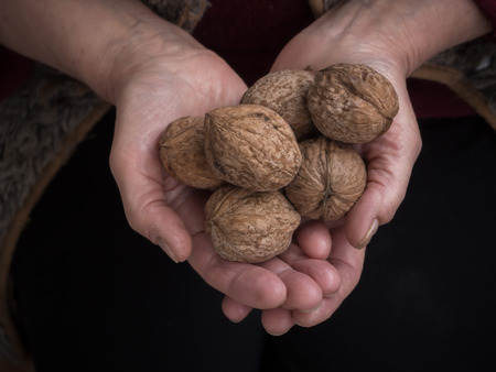 The old man holds walnuts in his handsの写真素材
