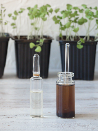 Liquid fertilizer for seedlings. Plant breeding. Spring care of plants. Growth energy for plants.の写真素材