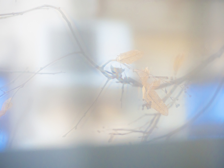Blurred view from the window. Beige abstract natural background.の写真素材