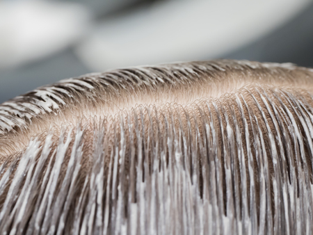 Tinted hair on the head. The hair parting on the head. Close up.の写真素材