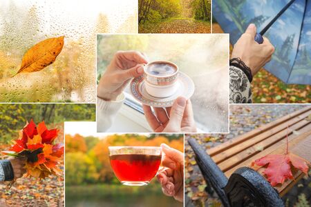 Collage with rainy views of autumn. Rainy autumn collage with a cup of hot coffee.の写真素材