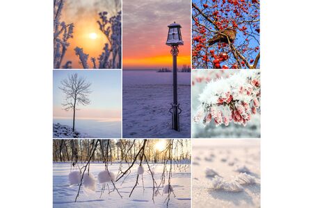 Collage showing the winter nature landscapes.