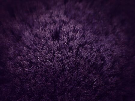 Purple hair abstract background with blur. close up.の写真素材