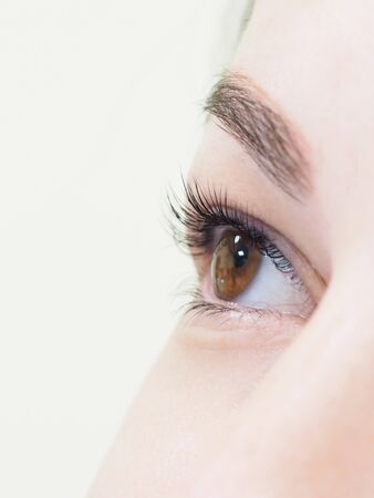 Cosmetic procedure for the care of eyelashes. The result of dyeing, waving and laminating eyelashes.の写真素材