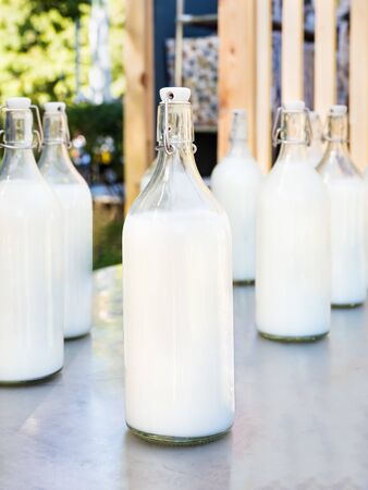 Milk in large glass bottles on the counter.の写真素材