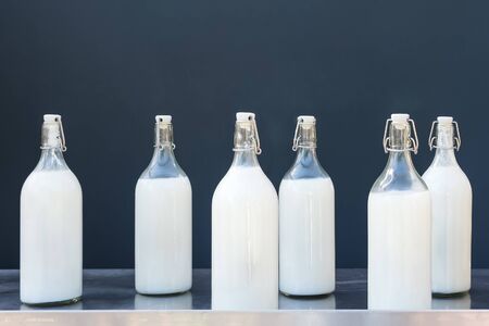 Milk in large glass bottles on a gray background.