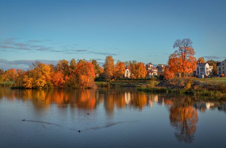 Beautiful autumn morning coastal landscape on the lake.の写真素材
