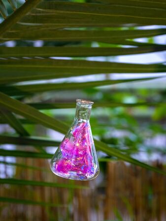 Flask with filler on the background of a palm tree.の写真素材