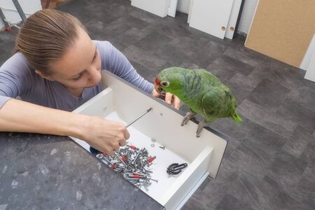 Female with a cordless driver collects furniture