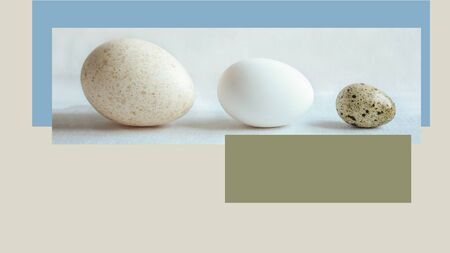 Three eggs of different sizes design poster. Business development concept. Template for poster, banner, invitation, cover.の写真素材